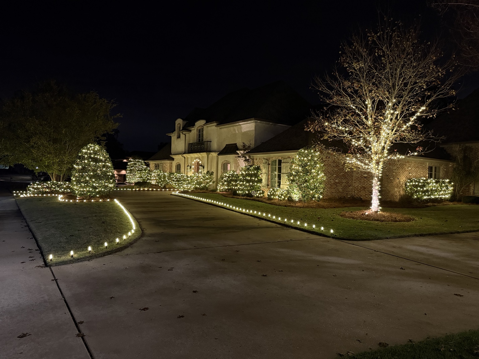 Estate driveway outlined with Christmas lights and illuminated landscaping