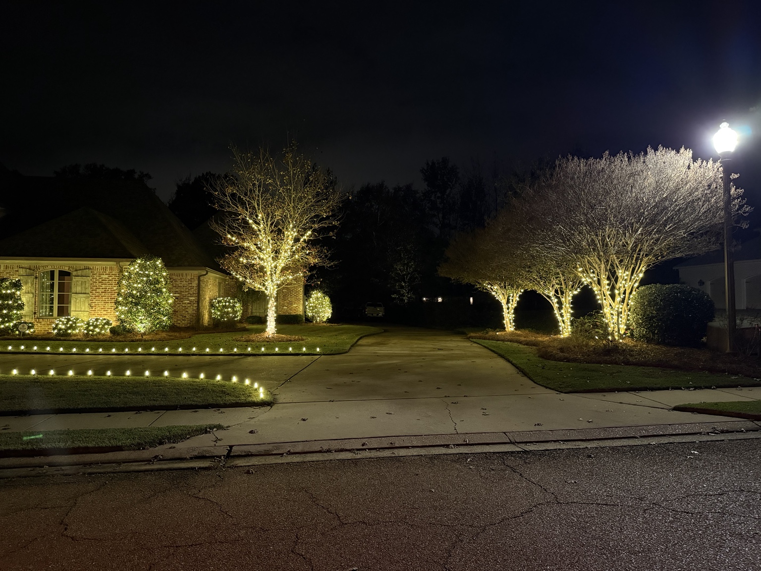 Curved driveway and landscaping outlined with warm white Christmas lights