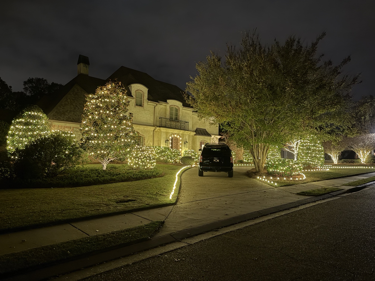 Trees wrapped with warm white Christmas lights along a driveway