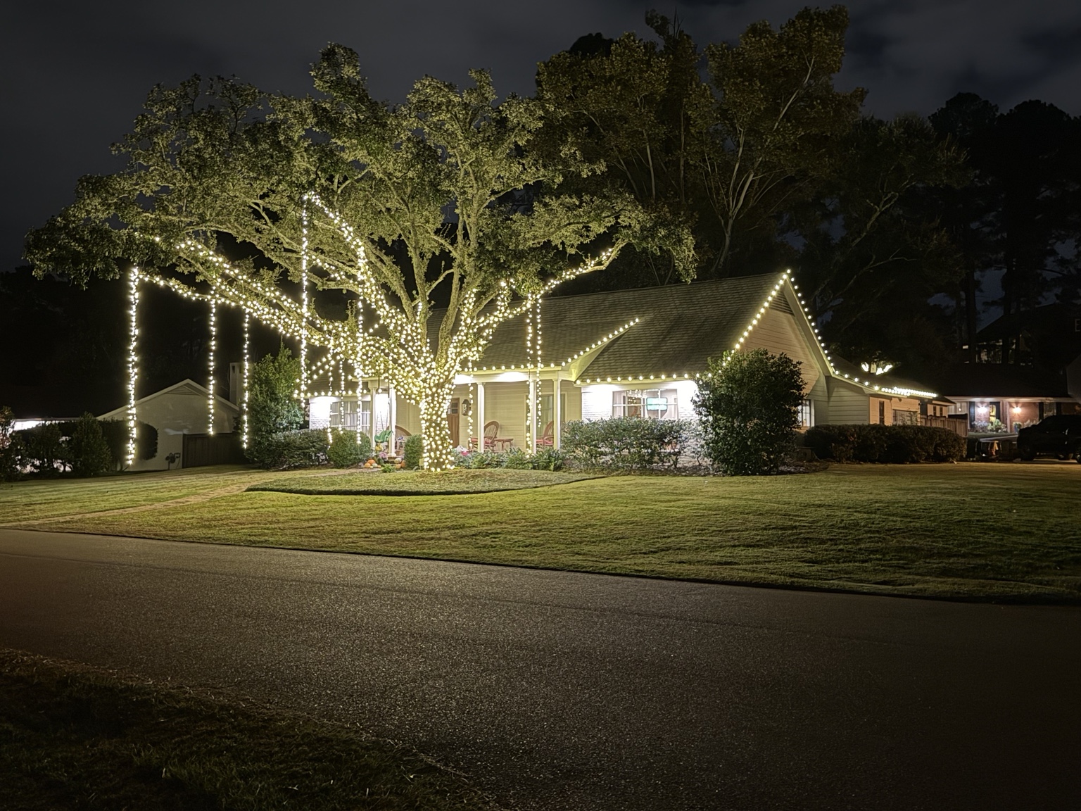 Wide view of a large tree and home decorated with warm white lights