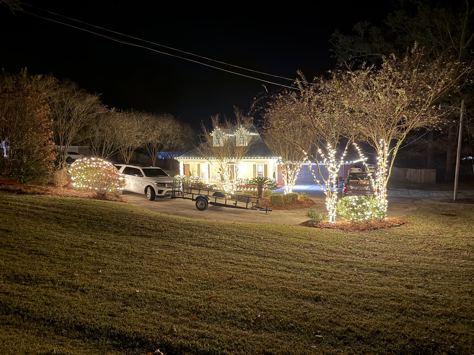 Full residential Christmas lighting display with trees and shrubs